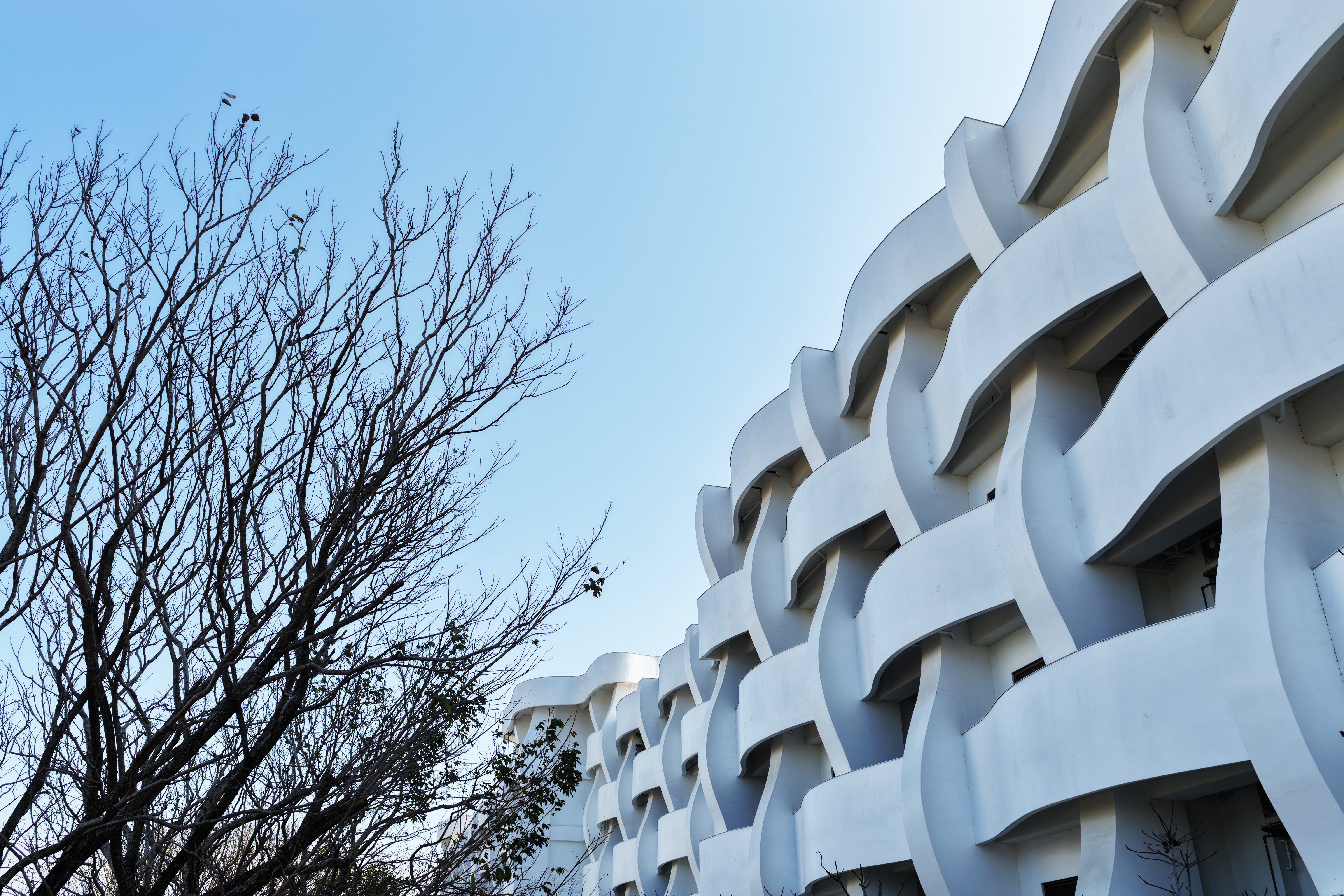 新竹縣文興國民中學